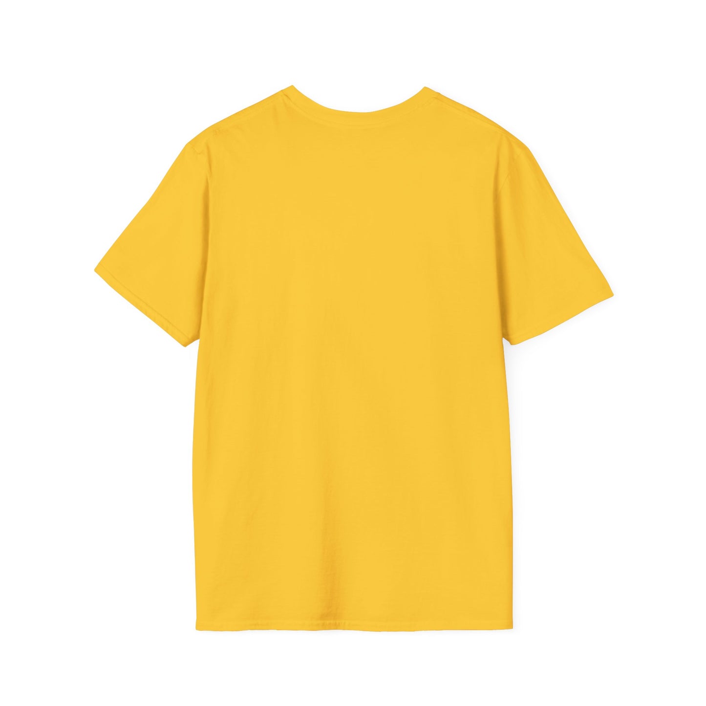 Ride the Hipnowaves Unisex Softstyle T-Shirt, Graphic Tee, Trendy Shirt, Summer Fashion, Beachwear, Gift for Music Lovers