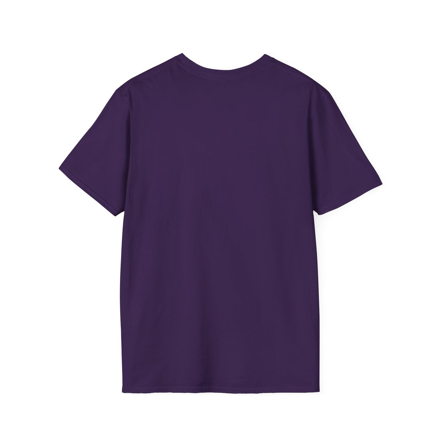 Hipnowaves Pirate T-Shirt, Unisex Softstyle Tee for Beach Lovers, Casual Wear, Gift for Sailors, Summer Adventure Shirt