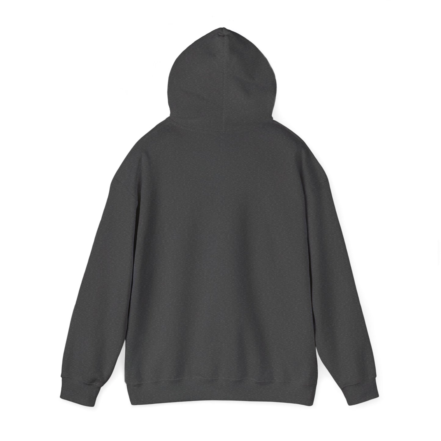 Romans 12:2 "Do Not Conform" Hoodie — Christian Faith Graphic Hoodie