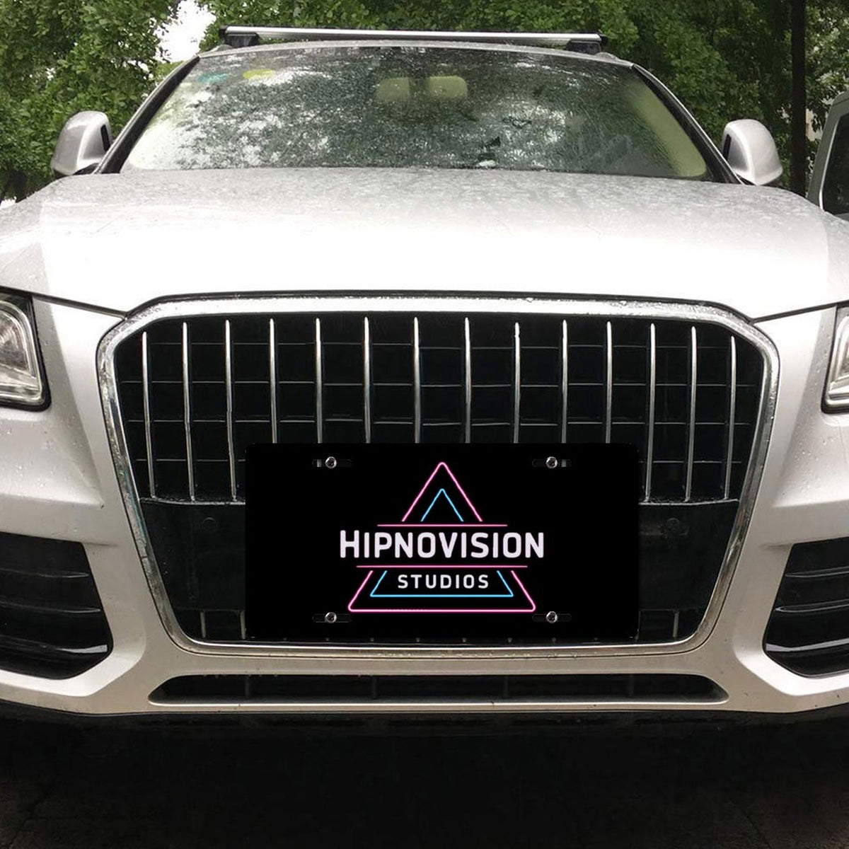 Car License Plate-11.8”x5.9”
