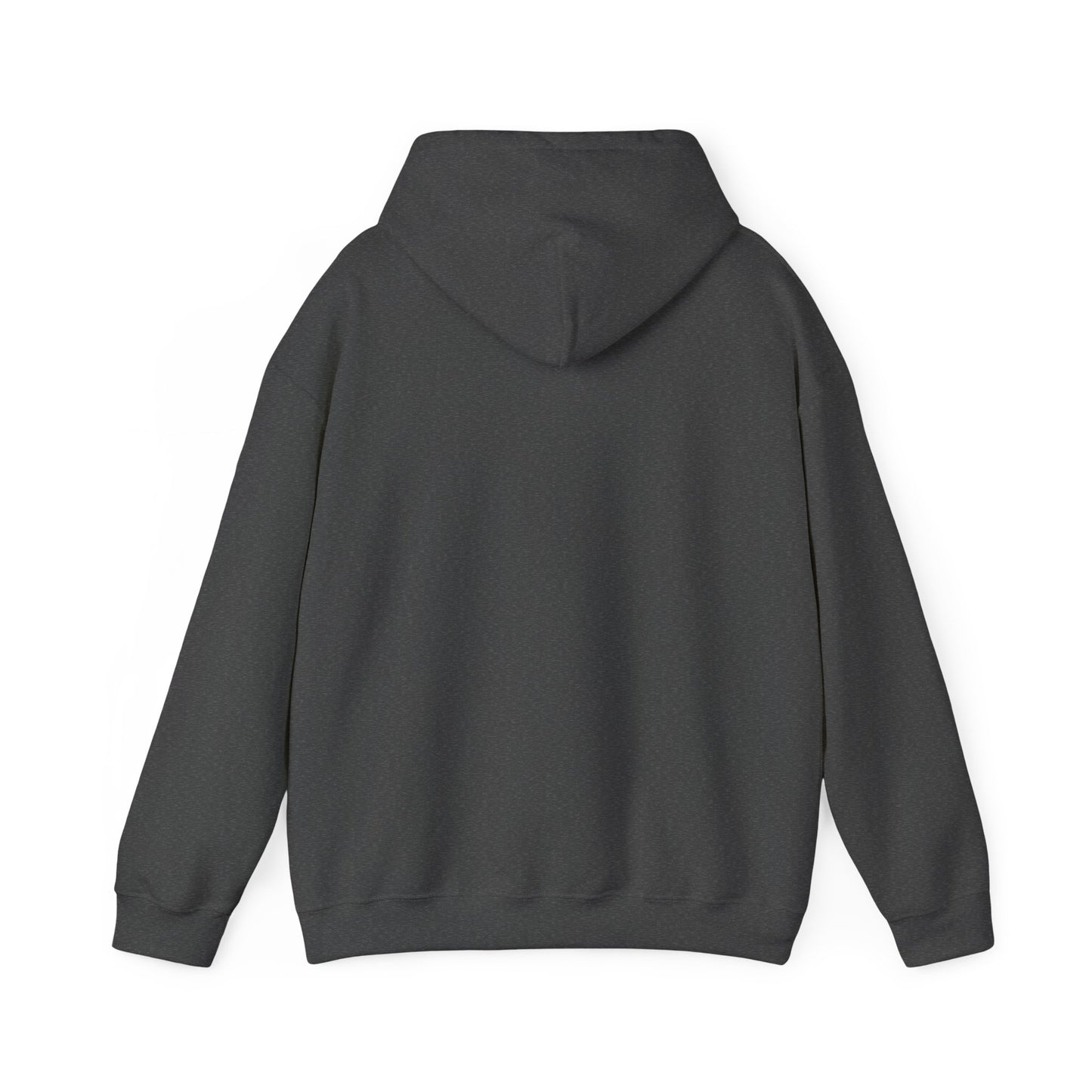 Romans 12:2 "Do Not Conform" Hoodie — Christian Faith Graphic Hoodie