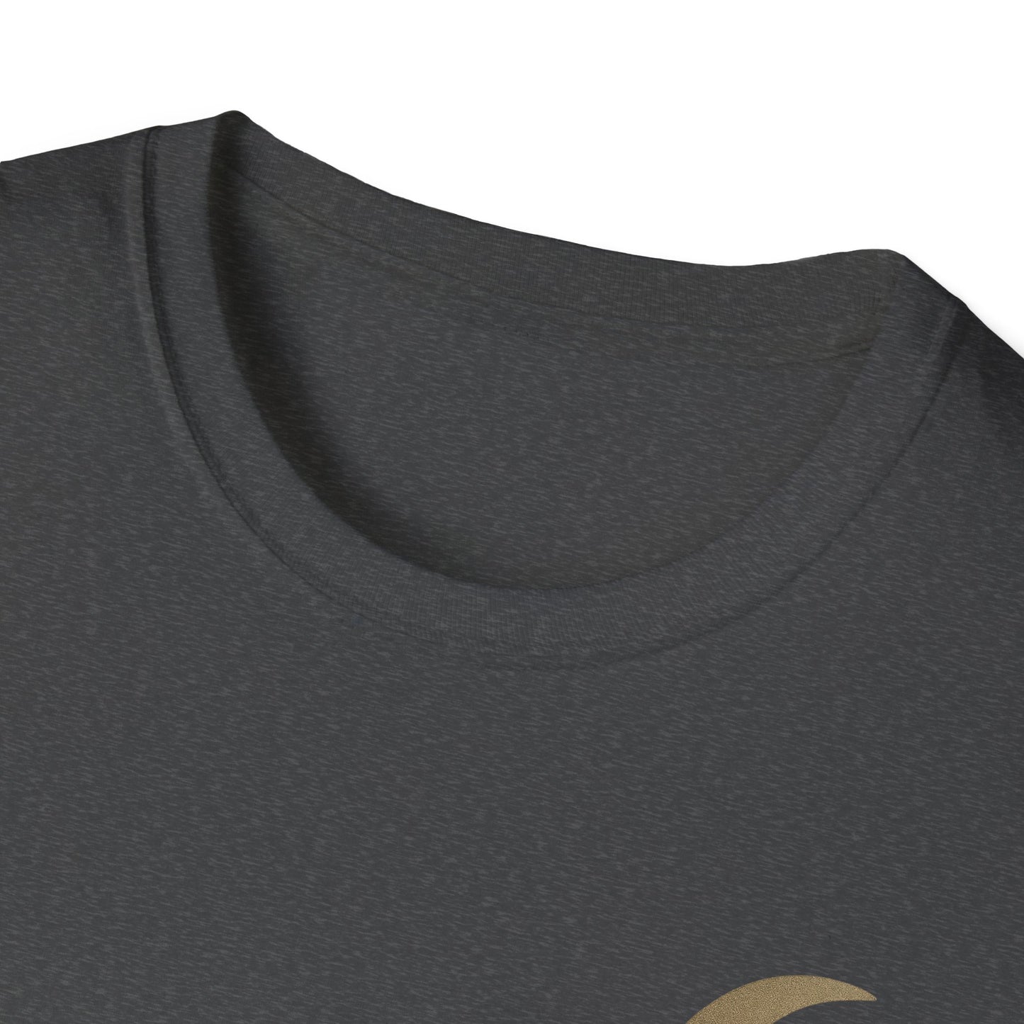 Soul Center Unisex Softstyle T-Shirt